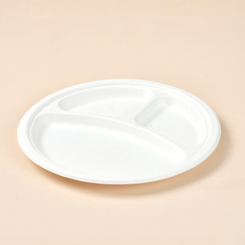 10" 3-compartment Plate