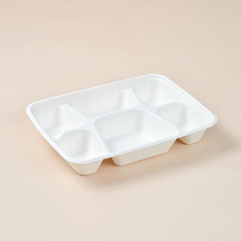 6 Compartment Lunch Tray