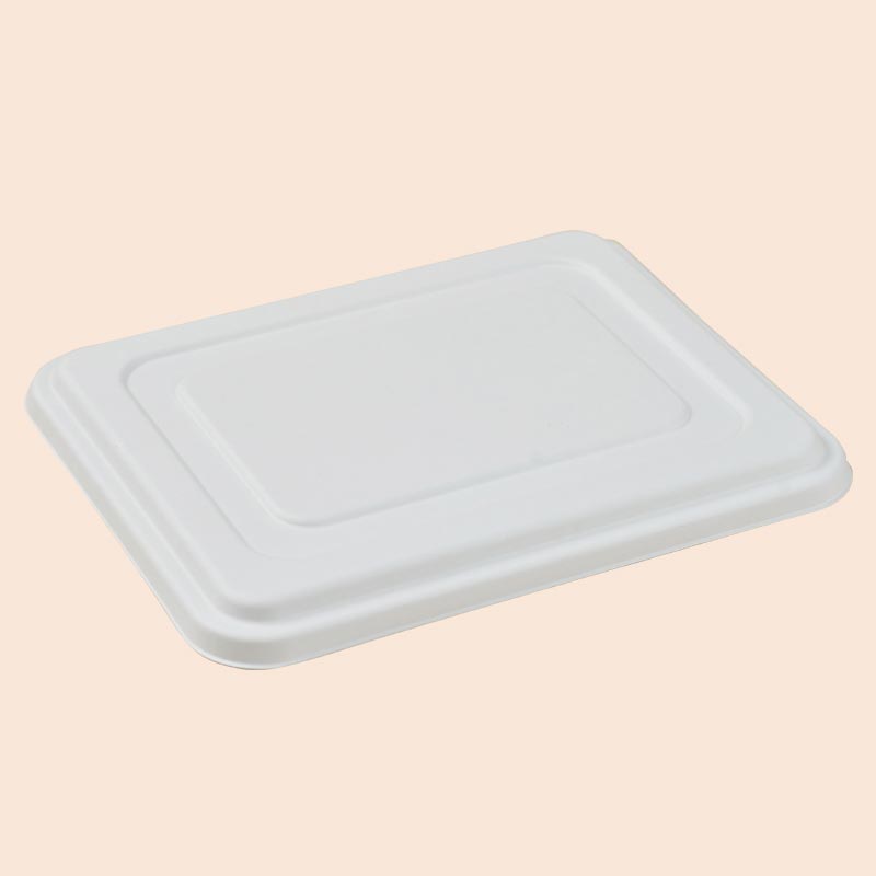Lid For5 Compartment Deep Tray