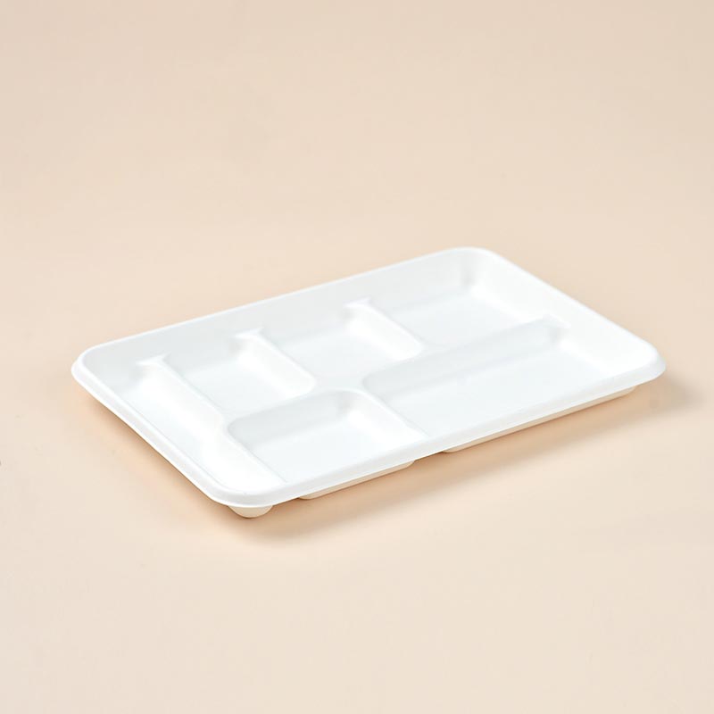 6 Compartment Tray