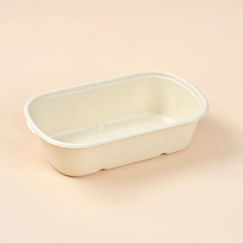N500 food container