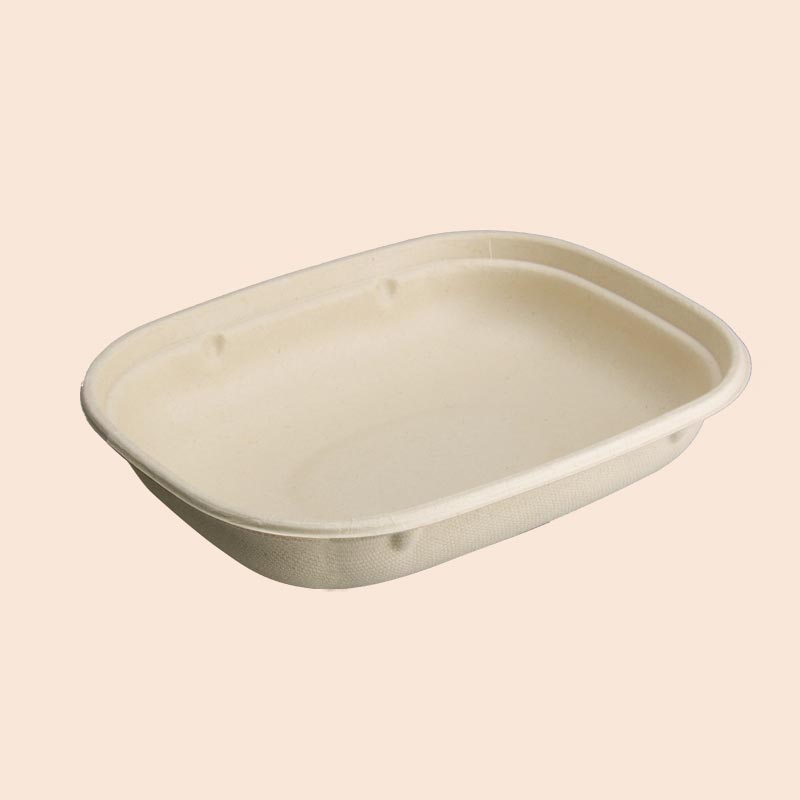CT850ml Food container